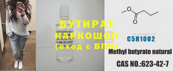 гашик Ельня