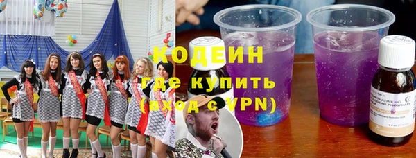 гашик Ельня