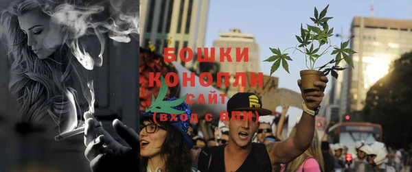 стаф Елизово