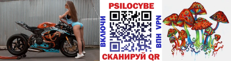 Галлюциногенные грибы Cubensis  Купить где  Сорск 